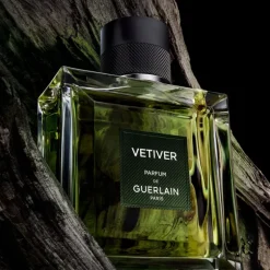 Vetiver Le Parfum Eau De Parfum Vapourisateur