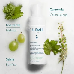 VINOCLEAN MOUSSE NETTOYANTE FLEUR DE VIGNE