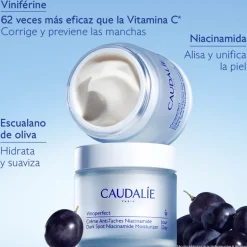 Vinoperfect Crème anti-taches à la niacinamide