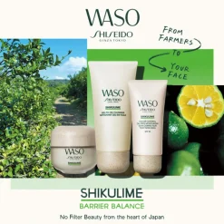 WASO SHIKULIME  OIL-FREE MOIST 50
